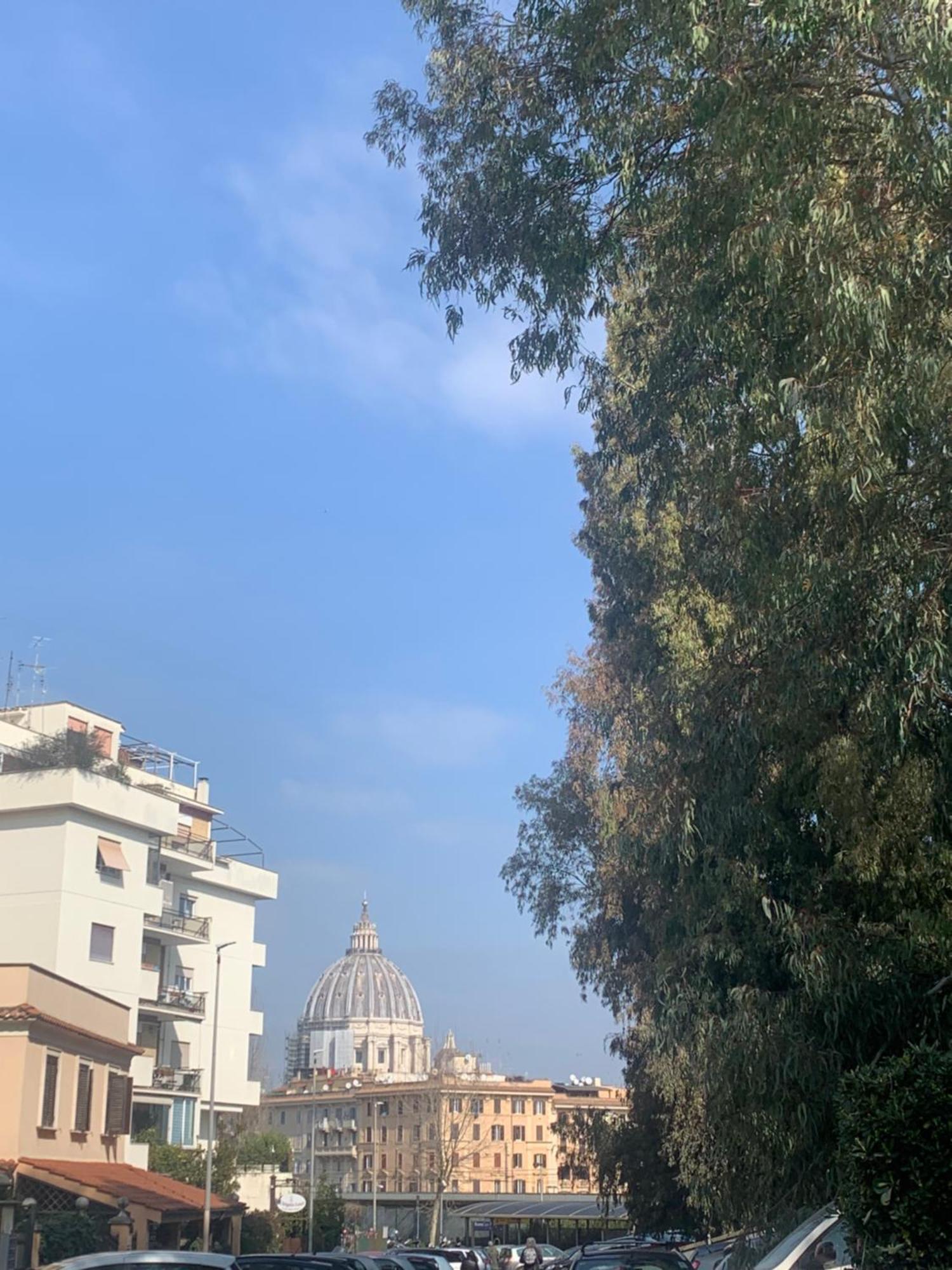 Vatican Studio Flat Roma Eksteriør bilde